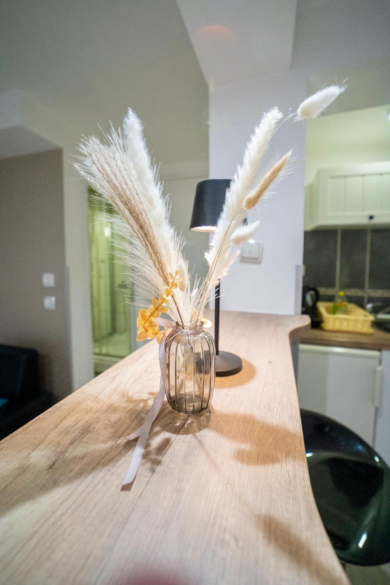 קרגיובאק Apartmani Aleksandra U Centru Grada מראה חיצוני תמונה